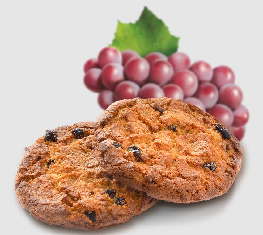 Печ. Домашнее Овсяное с изюмом  /Сладкая Слобода/ 4,5 кг